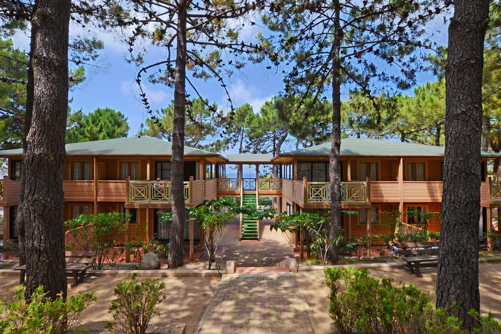 Residence Les Pins Calvi  Exteriér fotografie