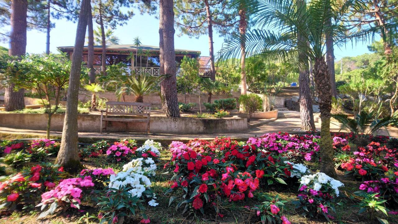 Residence Les Pins Calvi  Exteriér fotografie